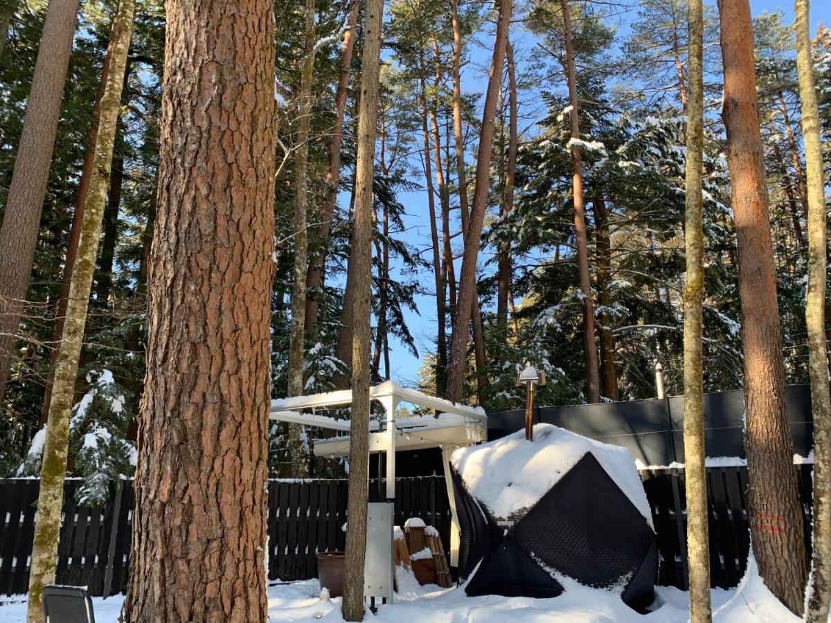 Fuji Fumoto Forest Hotspring ふもとの森温泉 Фудзі-Каваґутіко Екстер'єр фото