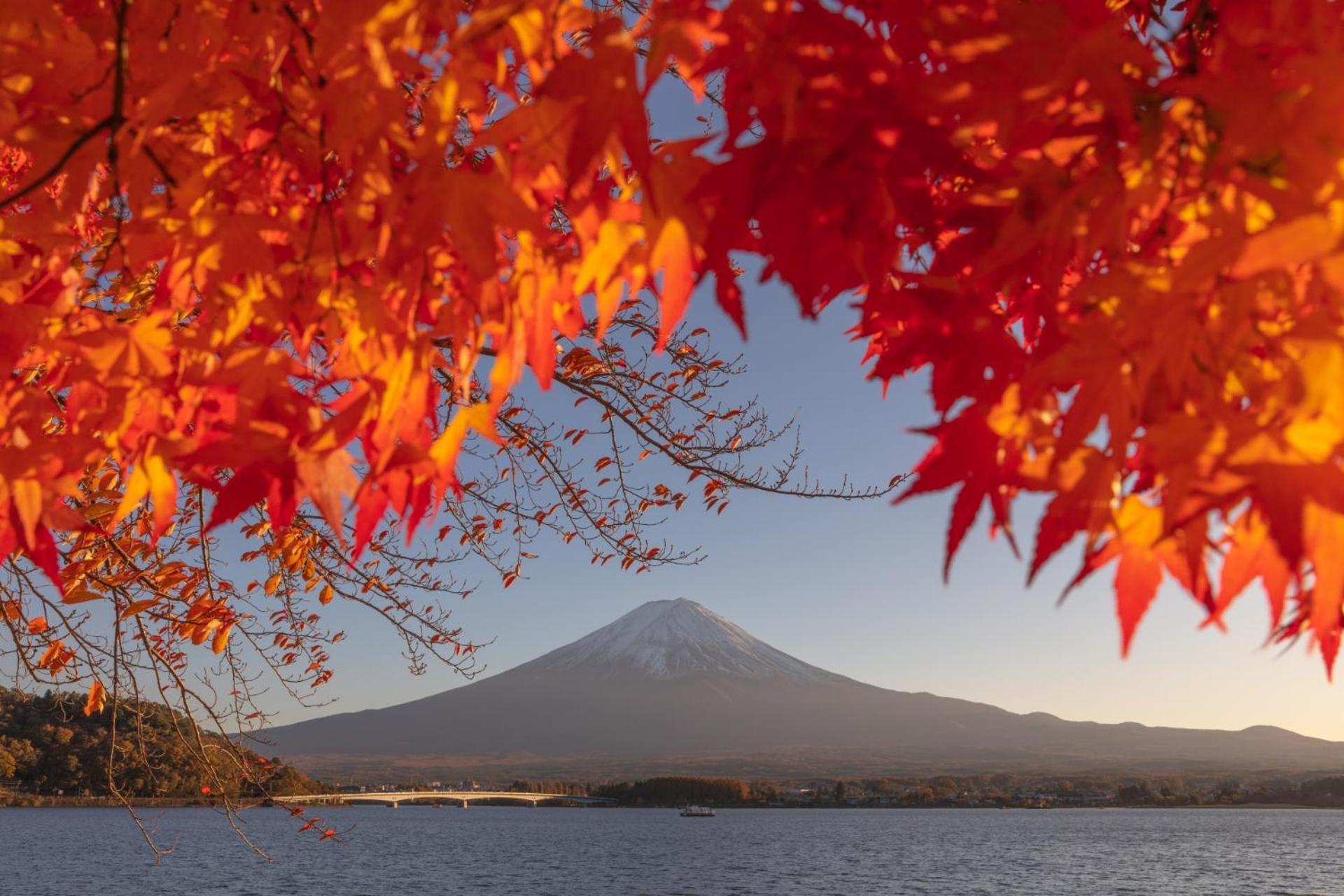 Fuji Fumoto Forest Hotspring ふもとの森温泉 Фудзі-Каваґутіко Екстер'єр фото